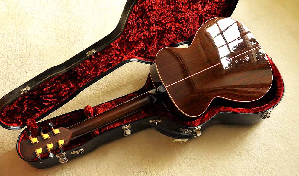 New World guitar - back
